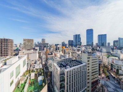 View from the property