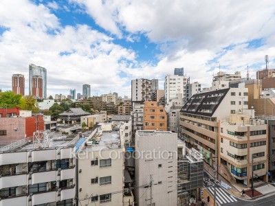 View from the property