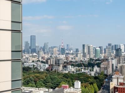 View from the property