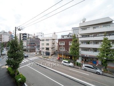 View from the property