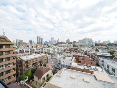 View from the property