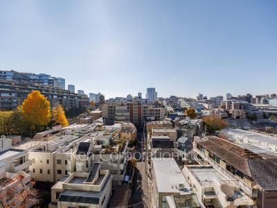 View from the property