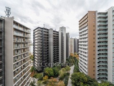 View from the property