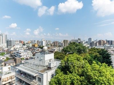 View from the property