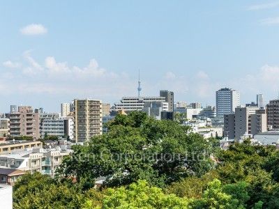 View from the property