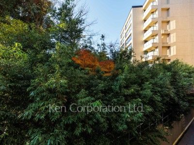 View from the property