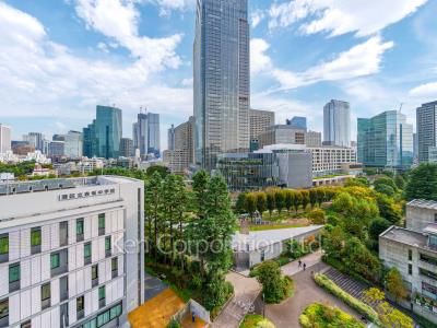 View from the property