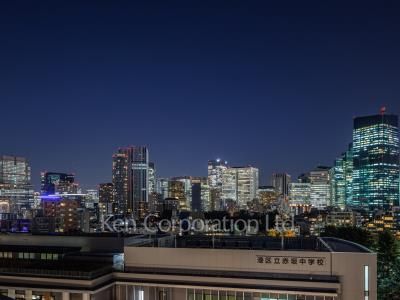 View from the property