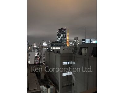 View from the property