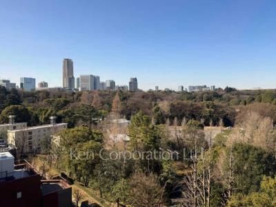 View from the property