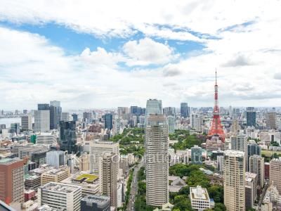 View from the property ※Photo of the same layout on 38 floor. Decoration and fixture may differ.