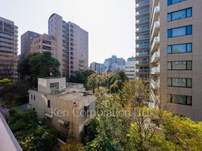 View from the property