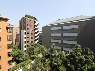 View from the property