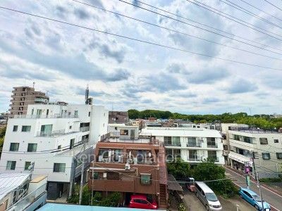 View from the property