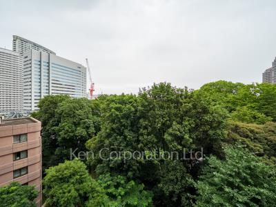 View from the property