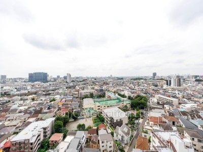 View from the property
