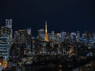 View from the property