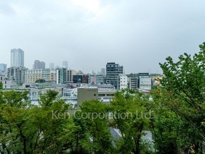 View from the property