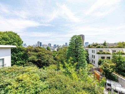 View from the property