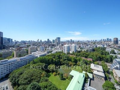 View from the property