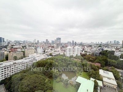 View from the property