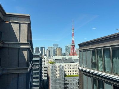 View from the property
