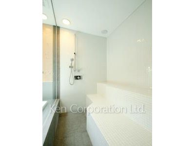 Steam sauna
