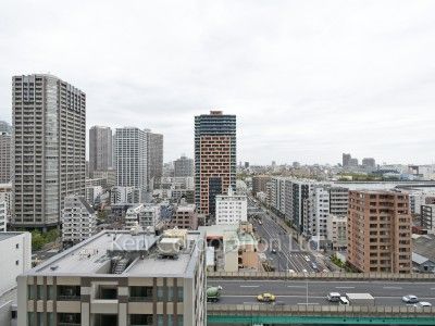 View from the property