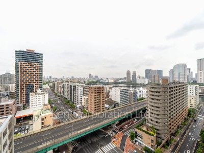 View from the property