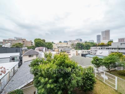 View from the property