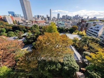 View from the property