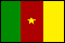 国旗：CAMEROON